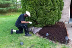 man installing mulch on a law to prep the house for sale